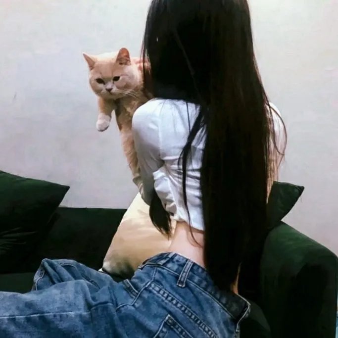 小镇圣诞爱